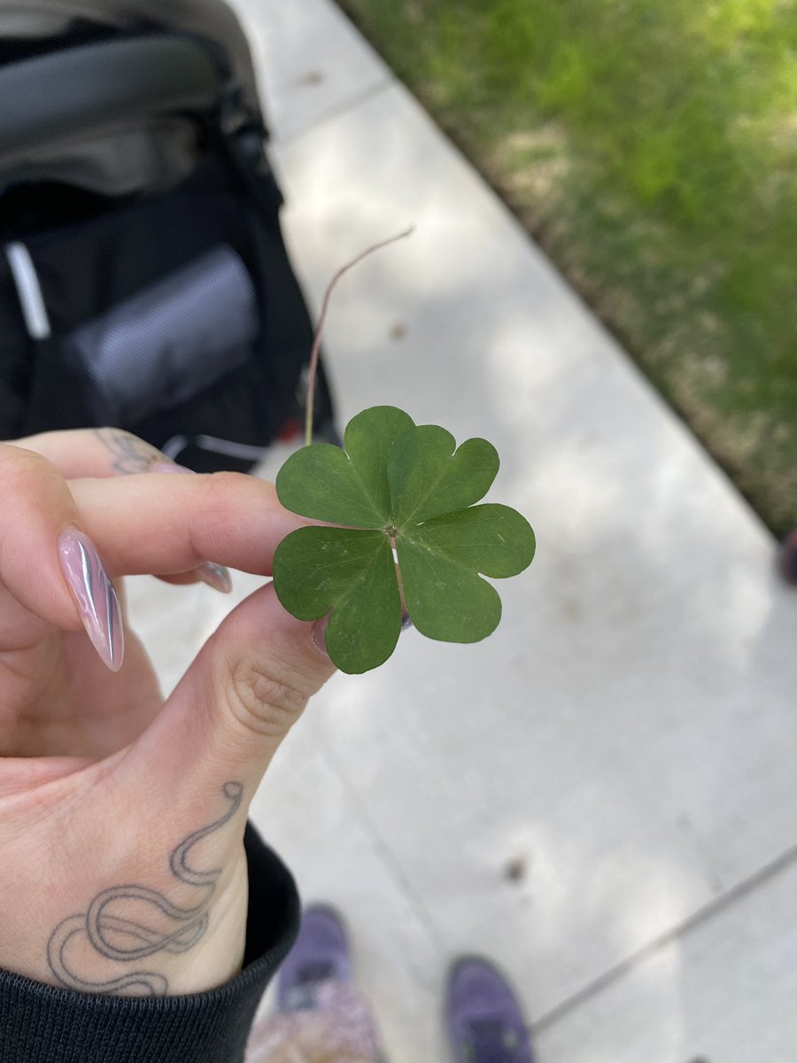 My son found lucky 🍀 today!
