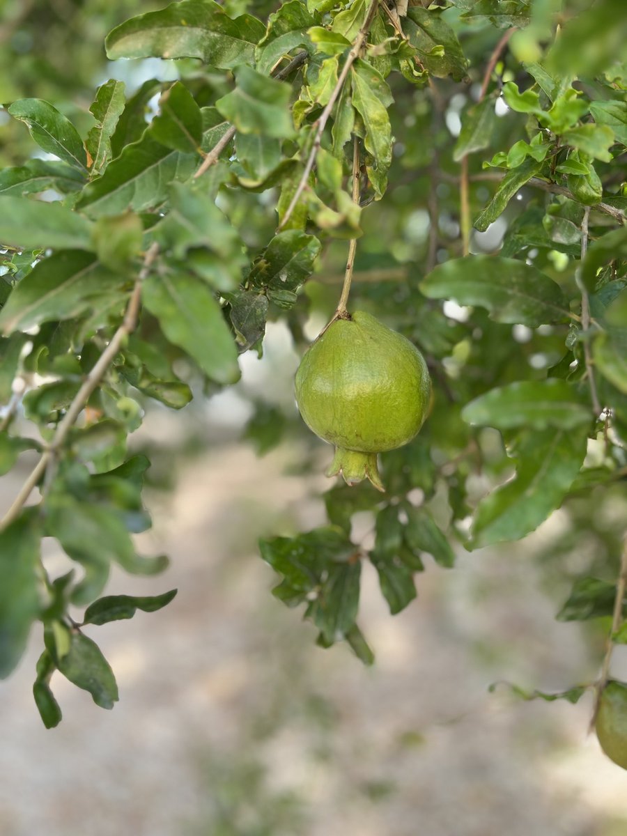 اللهم اجعل قلوبنا سليمة مُخلصة لك ، مُنيبة تائبة تقية ، نقية مُهدية راضية بقضائك بِرحمتك يا ارحم الراحمين .
اللهم اجعل قلوبنا تخفق لأجلك " 🤍