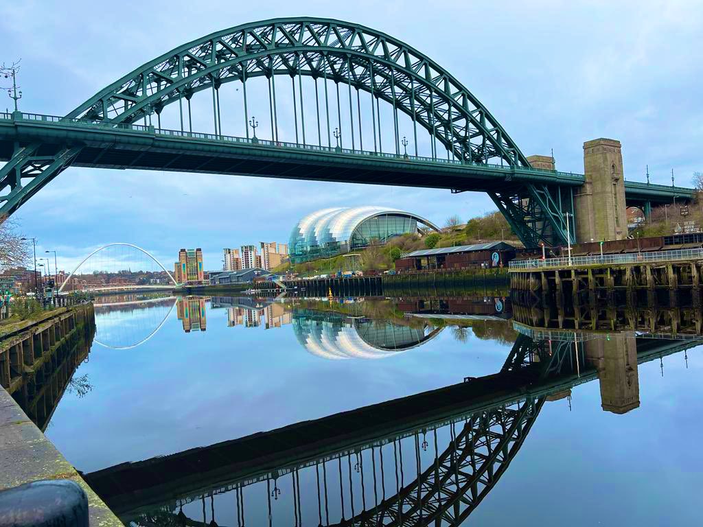 Canny Food tweet media