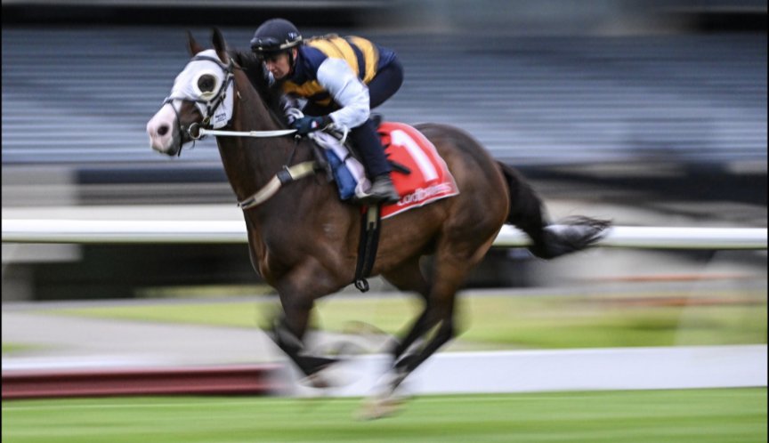 Words can't adequately express our sadness at today's news on I'm Thunderstruck. 

We feel for all connected with this amazing horse - our co-owners and the team at <a href="/MickPriceRacing/">Price Kent Racing</a> in particular.

We will remember him in full flight.