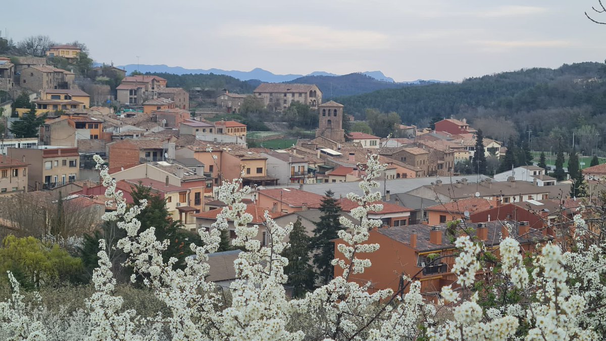 calsabata's tweet photo. Bon Dijous! 😍😘
Vine a L'Estany, Vine a Cal Sabata.

#casarural #allotjamentrural #viulestany #natura #cultura #gastronomia #poble #tranquilitat #primavera #moianes https://t.co/0ZAFRejwBW