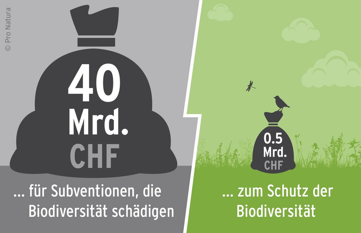 pronaturach's tweet photo. In der 🇨🇭 tragen jährlich Subventionen von CHF 40 Mrd zum Artensterben bei. Das muss sich ändern! Wo wir auf dem Weg dorthin stehen, ist Thema der @IUCN-Tagung am 11.Mai mit @WulfFriedrich  &amp; @pearson_perret. Jetzt anmelden: https://t.co/3I5vwcBxSm @bafuCH https://t.co/k7SpVtMzpO https://t.co/RMrc6AXEWg