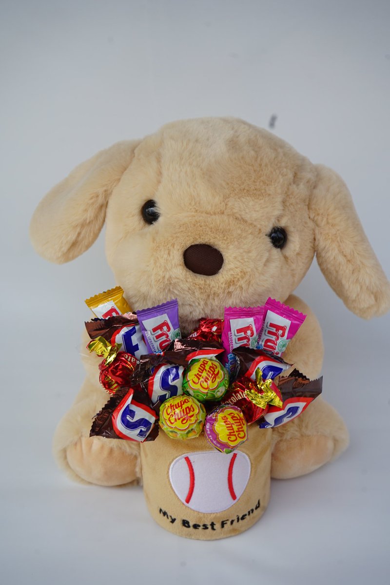 flowergiftkorea's tweet image. Hello, here's our Chocolate dog ready to share chocolates and ready to cuddle. 

Send this dog to your special one .😍😍😍

#stuffedtoys #cutegift #chocolate #chocolategift #flowergiftkorea #chocolatequokka #gift #korea #flowershop #kpop #celebritygift #indonesia #malaysia