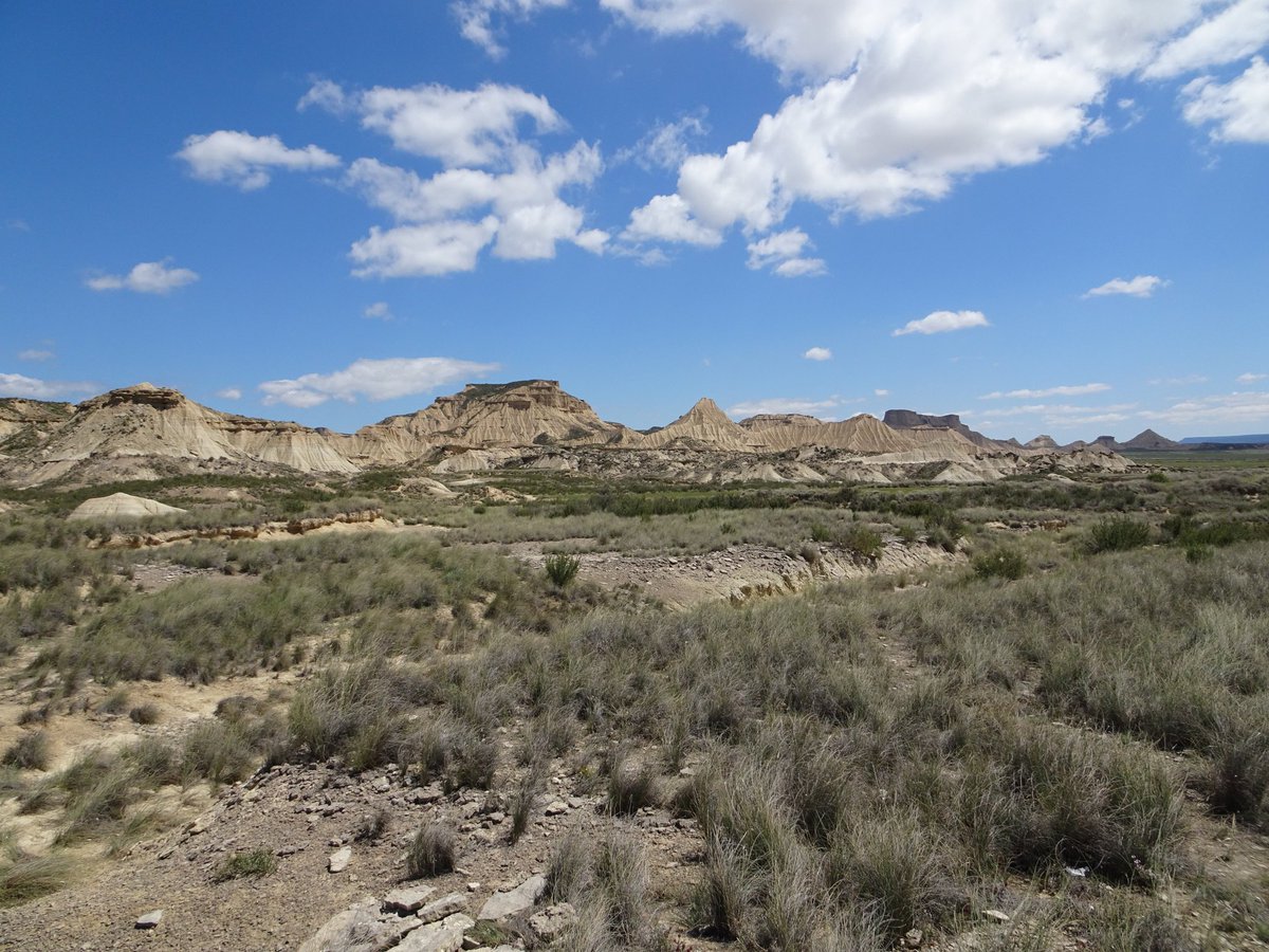 Santiago M. Barajas tweet media