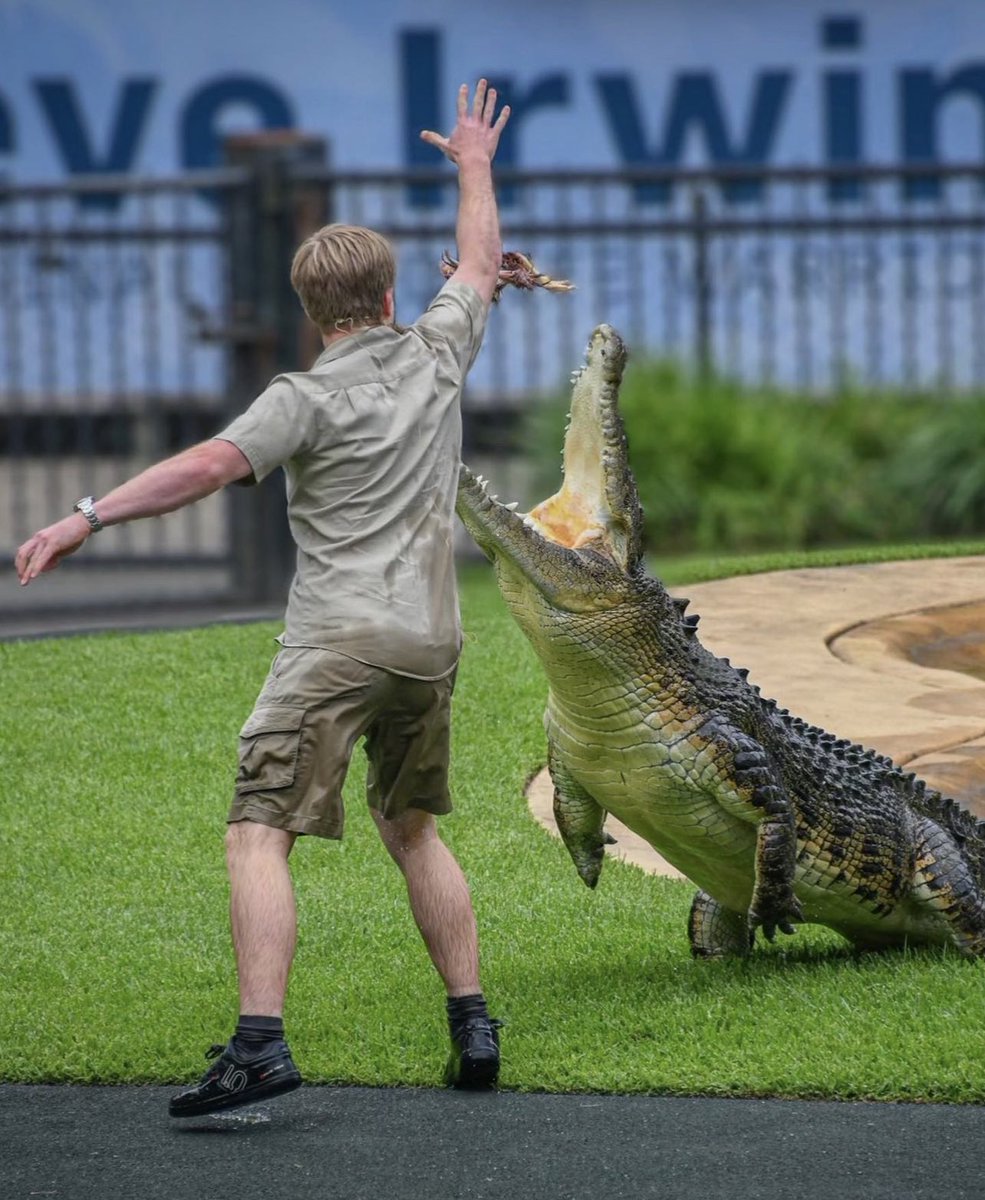 Robert Irwin tweet media
