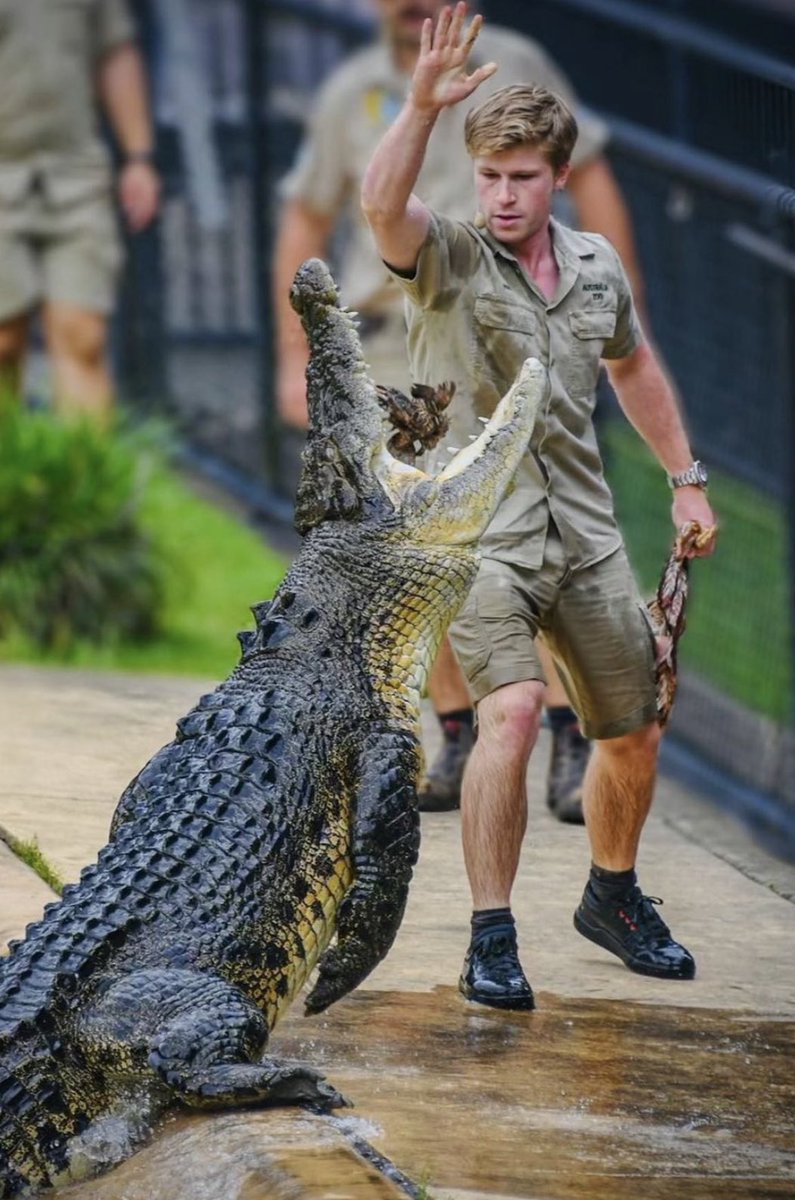 Robert Irwin tweet media