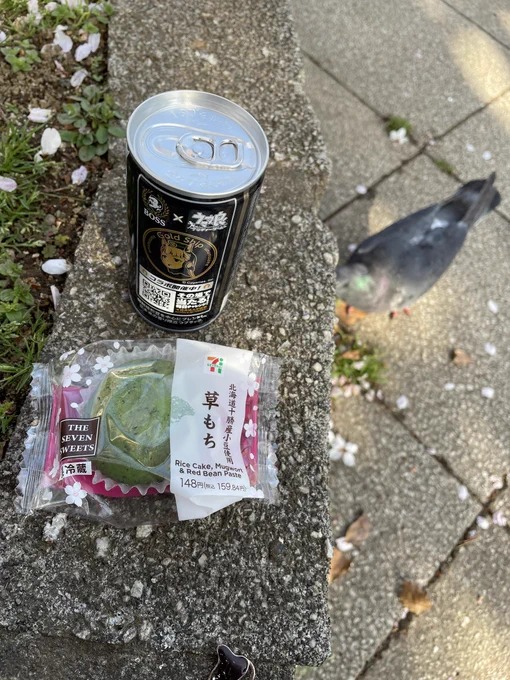 プチ花見。カバンにコメダの豆が入ってたので砕いて鳩に巻いたらめっちゃ寄ってきた。 