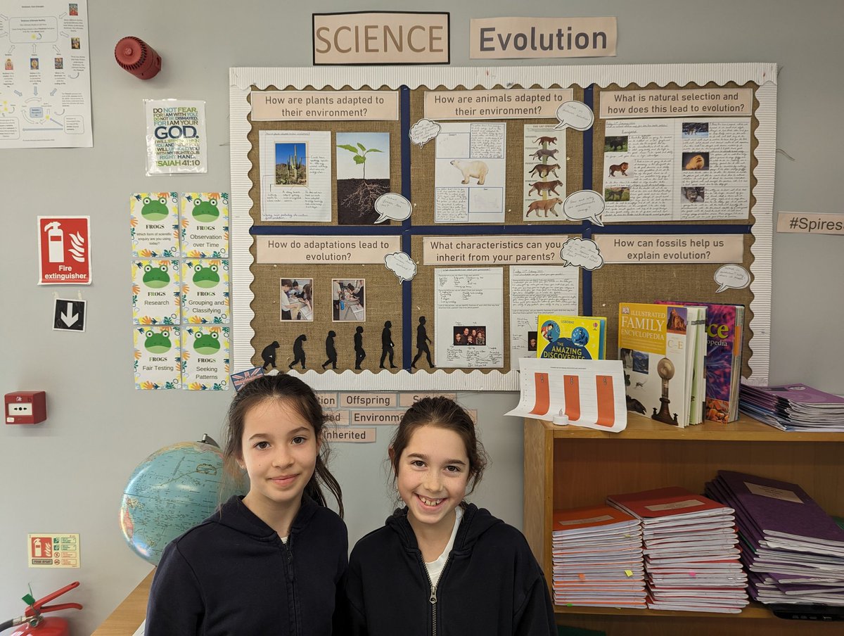 DigbyPrimary's tweet image. That&apos;s our Spring Topics complete. Imps have filled their working walls with some amazing work! #spiresscientists #SpiresRE #SpiresGeography
