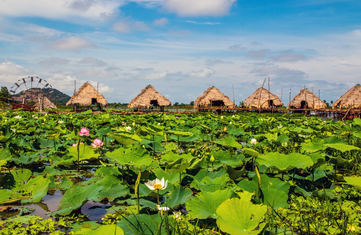 alamy.com/tonle-sap-sea-…
 Vegetation at Tonle Sap Lake near Siem Reap and the Angkor Park in Cambodia 
Photo for Sale
Royalty-free license  
Commercial, Merchandising &amp; Advertising Use
Digital Download
Self Promotion
#cambodia #travel #siemreap #angkor #asia #naturelover #nature