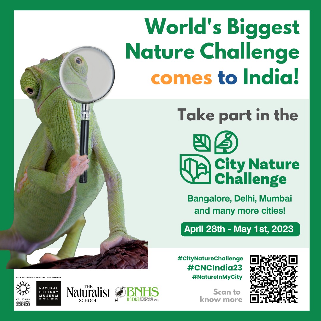 Passionate about #CitizenScience and #UrbanWildlife? The Naturalist School is bringing the 🌿City Nature Challenge🌿 to India. More details here: linkedin.com/posts/the-natu… 

#CNC2023 #CNCIndia2023 #NatureInMyCity #Biodiversity #IndianWildlife #NaturalHistory #iNaturalist