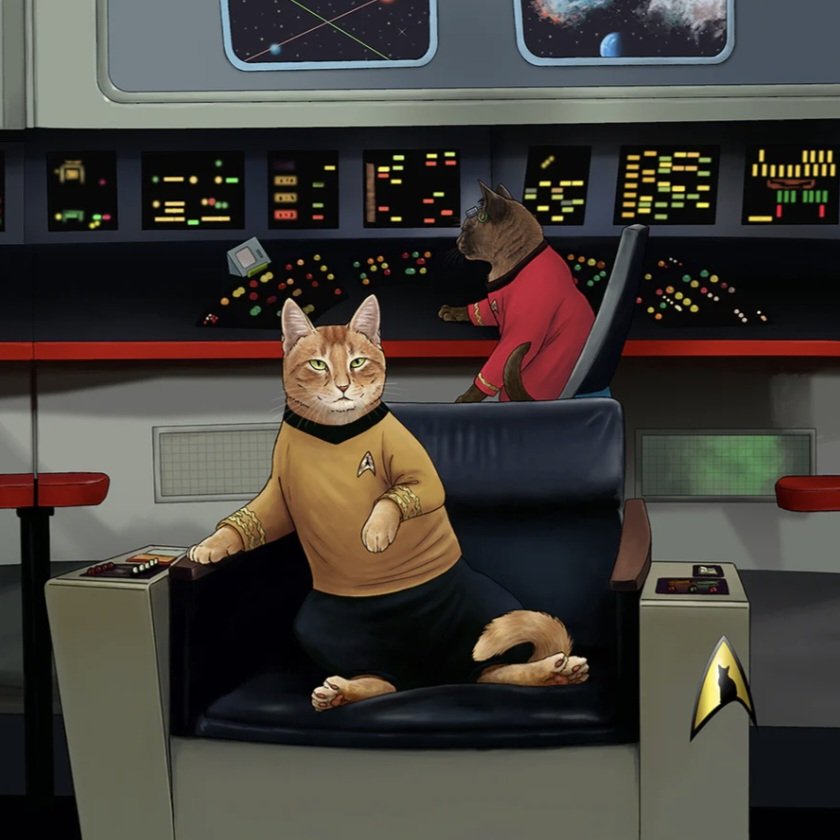 FionaGoBah's tweet photo. Watching Star Trek the Animated Series and was thinking I need more Star Trek Shirts..go on the website and they have a cat tote bag that matches both my cats! They are Kirk and Uhura! #StarTrekTOS #StarTrek #CaptainKirk #Uhura #CatsofSpace https://t.co/V9DlgpF8gC