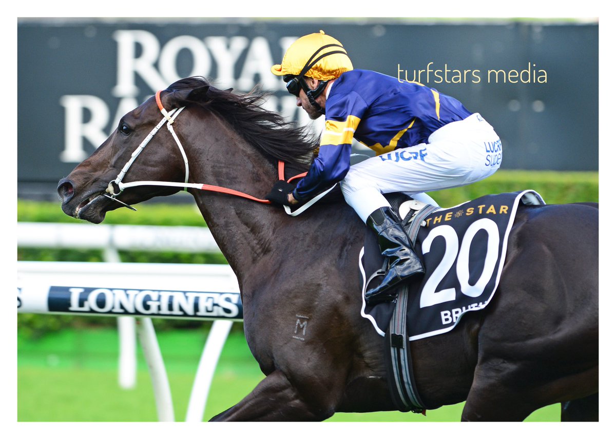 LisaGrimm9's tweet photo. 👊🏼🥇BRUTAL and Bossy win the Group 1 Doncaster in 2019. https://t.co/EAqhEsTpzC