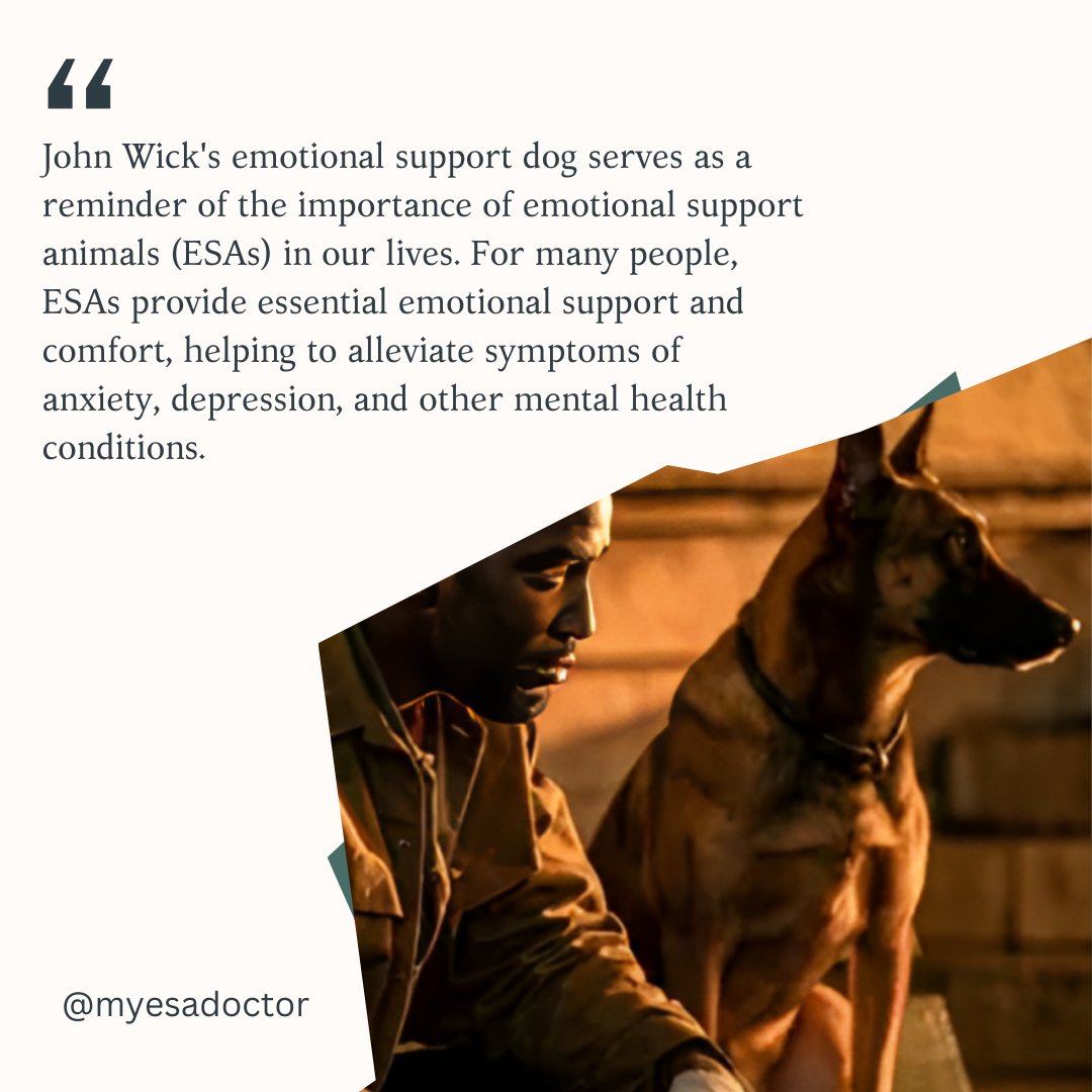 myesadoctor's tweet photo. John Wick's emotional support dog  is a reminder of the invaluable role that Emotional Support Animals play in our lives. 

We are proud to connect individuals with the support they need. #ESAs #MentalHealthAwareness https://t.co/kEPp2fOJ7a