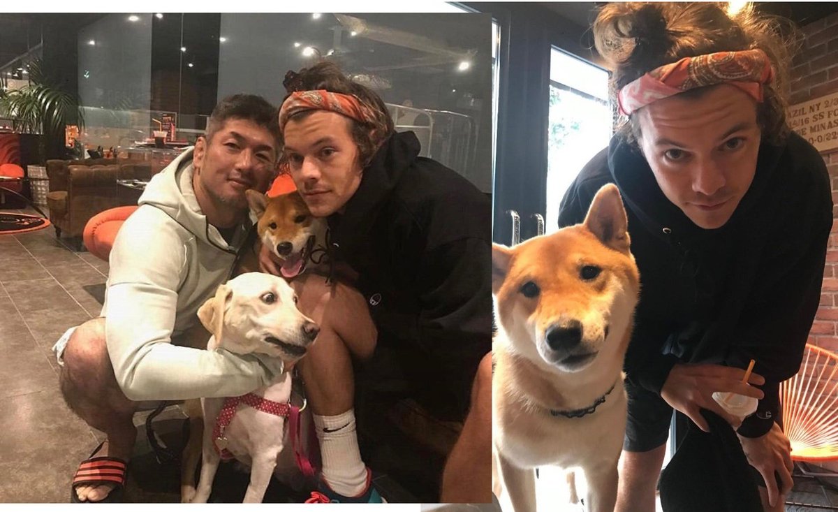 HarryPromote's tweet photo. Harry Styles' friendship with bell through the years https://t.co/DqTePIxZN3
