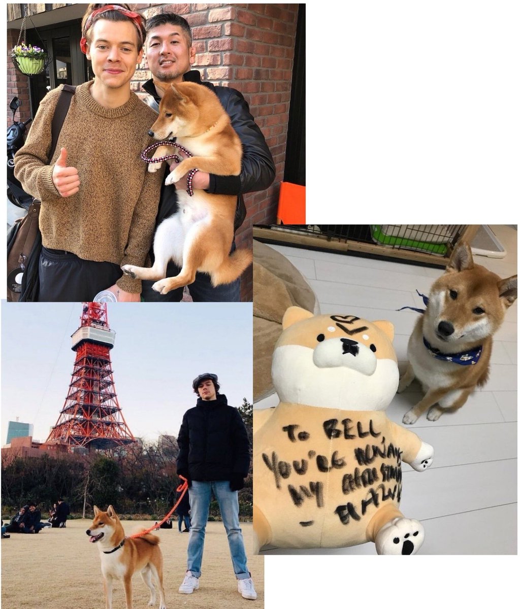 HarryPromote's tweet photo. Harry Styles' friendship with bell through the years https://t.co/DqTePIxZN3