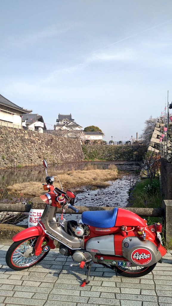 cubraRED's tweet photo. Kishiwada Castle！

#SuperCub
#Cubra
#KishiwadaCastle 
#KishiwadaCity https://t.co/8jXszTWqBt