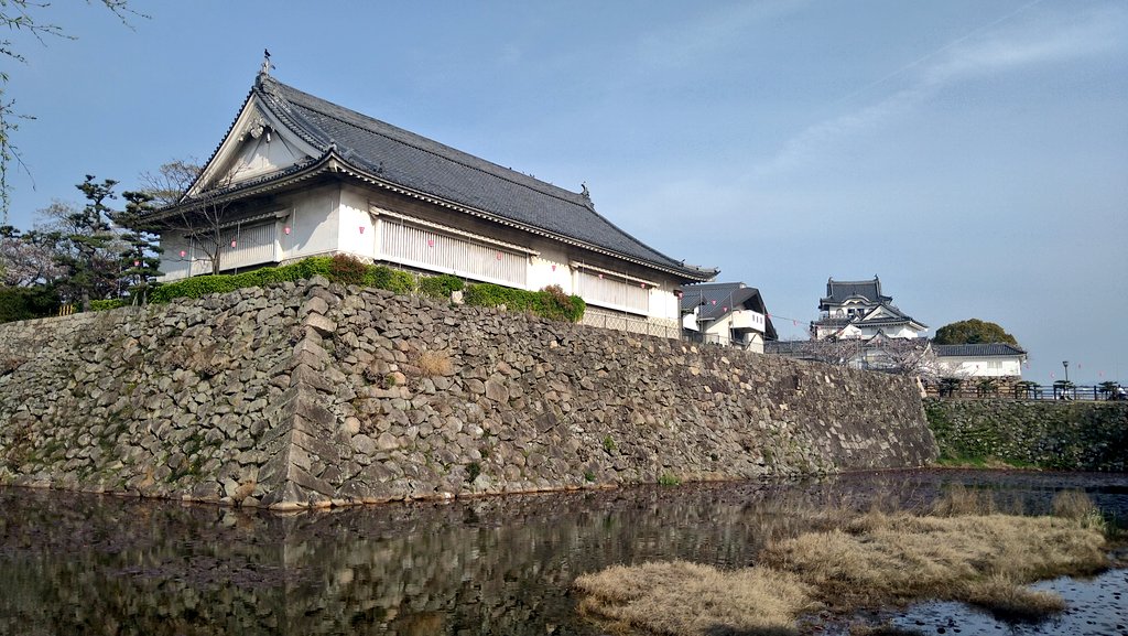 cubraRED's tweet photo. Kishiwada Castle！

#SuperCub
#Cubra
#KishiwadaCastle 
#KishiwadaCity https://t.co/8jXszTWqBt