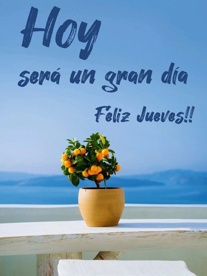 Buenos dias☕🎶
Feliz jueves💕que sea un fantástico día para tod@s🌹🦋❤
Besos🥰y abrazos🤗con cariño.
Sean felices!!🥳🎶💃
              Regalen😁sonrisas!!💕