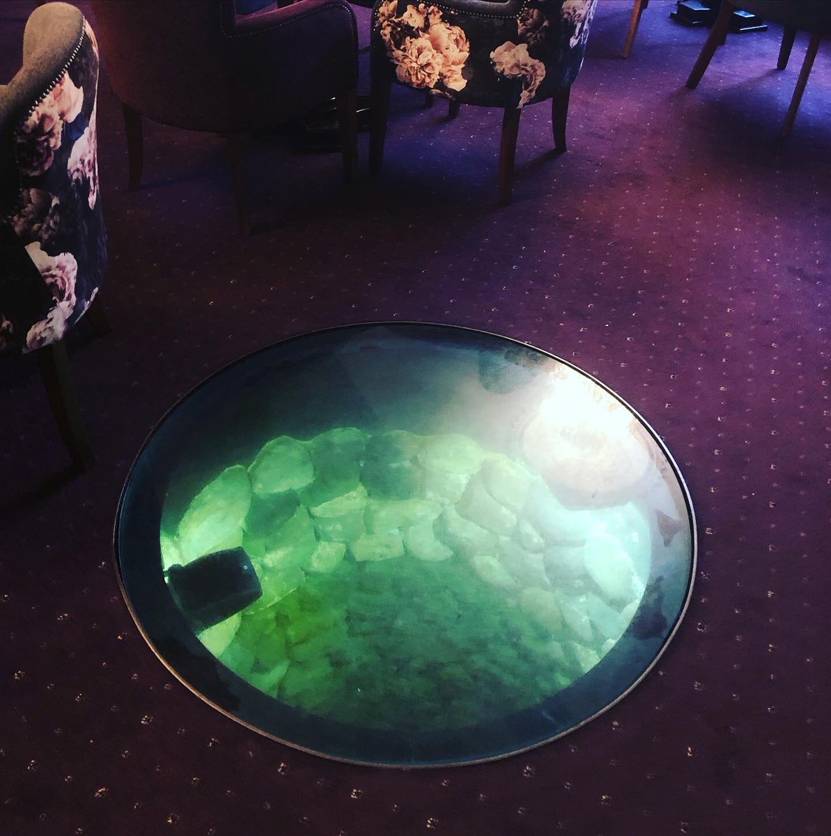 Angela Samata DL CF tweet media