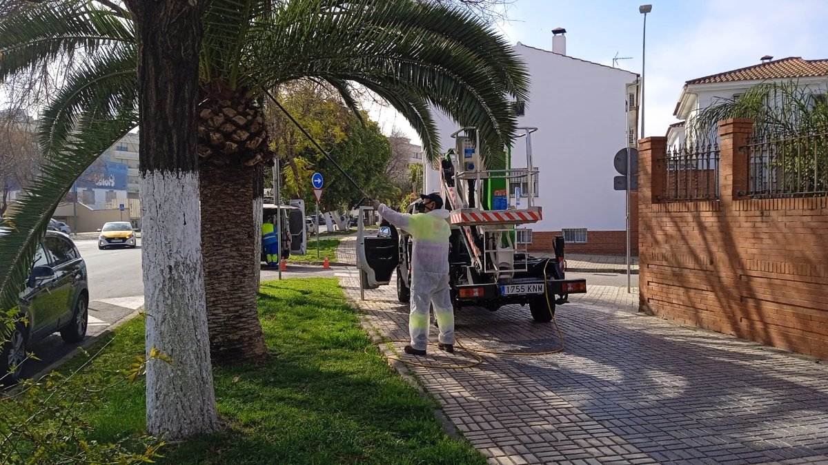 Ayto_Sevilla's tweet photo. 🌳🌿 Durante marzo se han intensificado los desbroces con refuerzos en Parques y Jardines, las empresas adjudicatarias de contratos de conservación, #072REUR o los planes de empleo joven. Para poner a punto la vía pública.
🪴 c/ Drago.
🪴 c/ Eufrates.
🪴 El Greco.
🪴 Los Arcos. https://t.co/VRwd7aULkZ