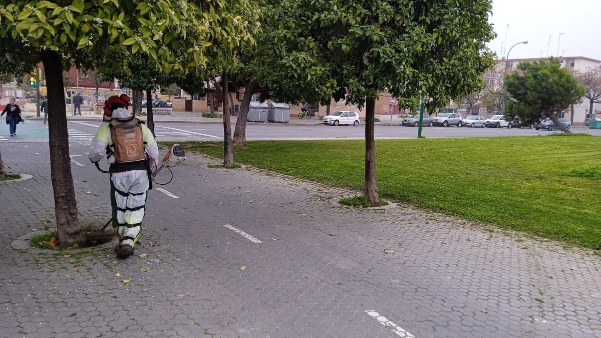 Ayto_Sevilla's tweet photo. 🌳🌿 Durante marzo se han intensificado los desbroces con refuerzos en Parques y Jardines, las empresas adjudicatarias de contratos de conservación, #072REUR o los planes de empleo joven. Para poner a punto la vía pública.
🪴 c/ Drago.
🪴 c/ Eufrates.
🪴 El Greco.
🪴 Los Arcos. https://t.co/VRwd7aULkZ