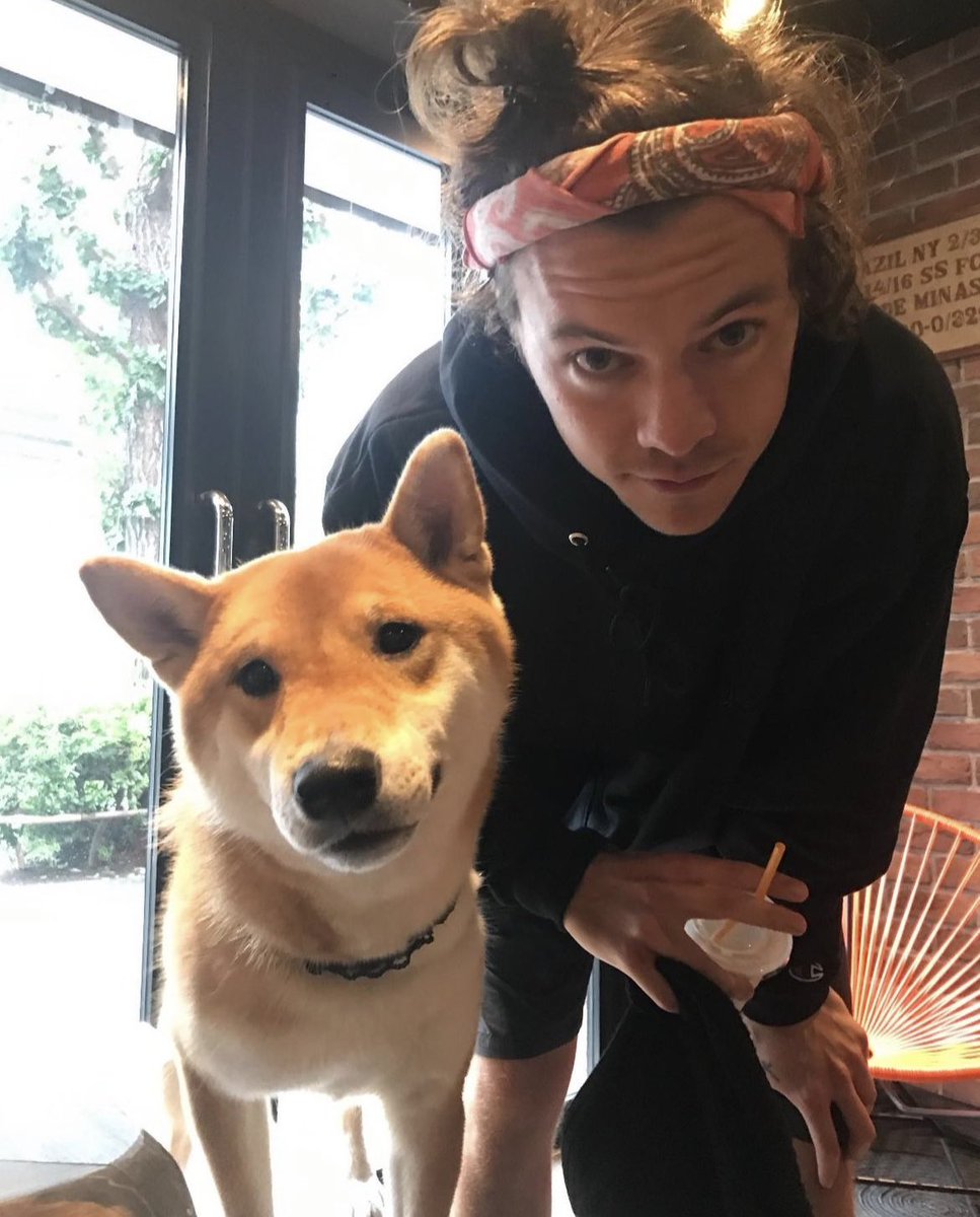 sassychopsuey's tweet image. how it started                        how it's going