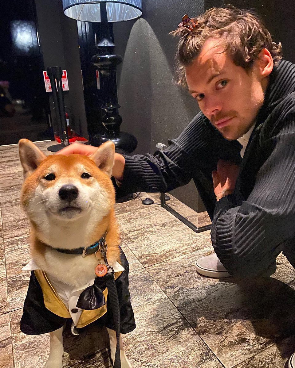 sassychopsuey's tweet image. how it started                        how it's going