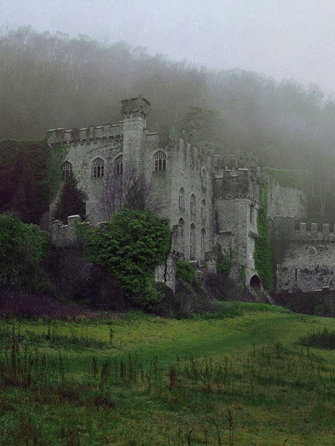 Eyesofgod__'s tweet photo. Gwrych Castle https://t.co/gXdXIyn76l