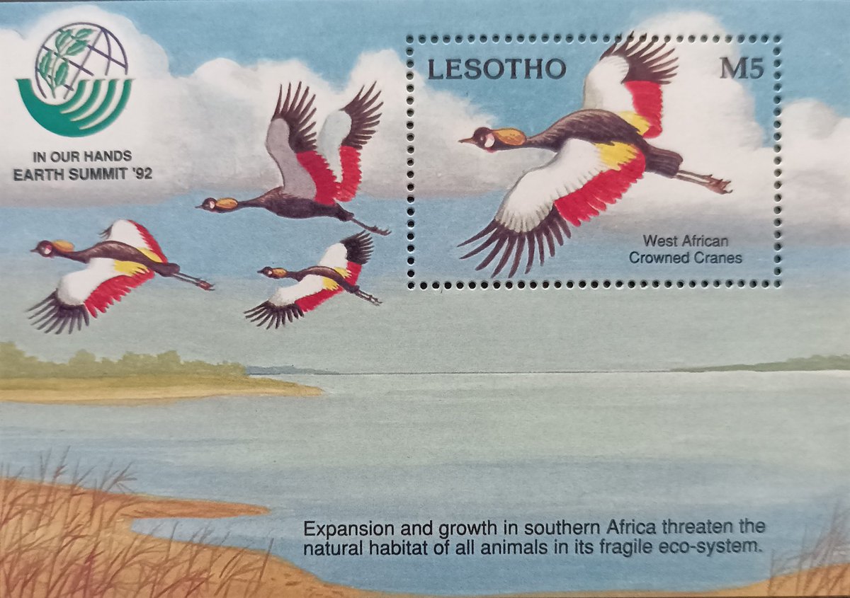 BirdsFDC's tweet photo. Lesotho 1993
#birds #stamps #FDC #philately https://t.co/wNqvJslOe7