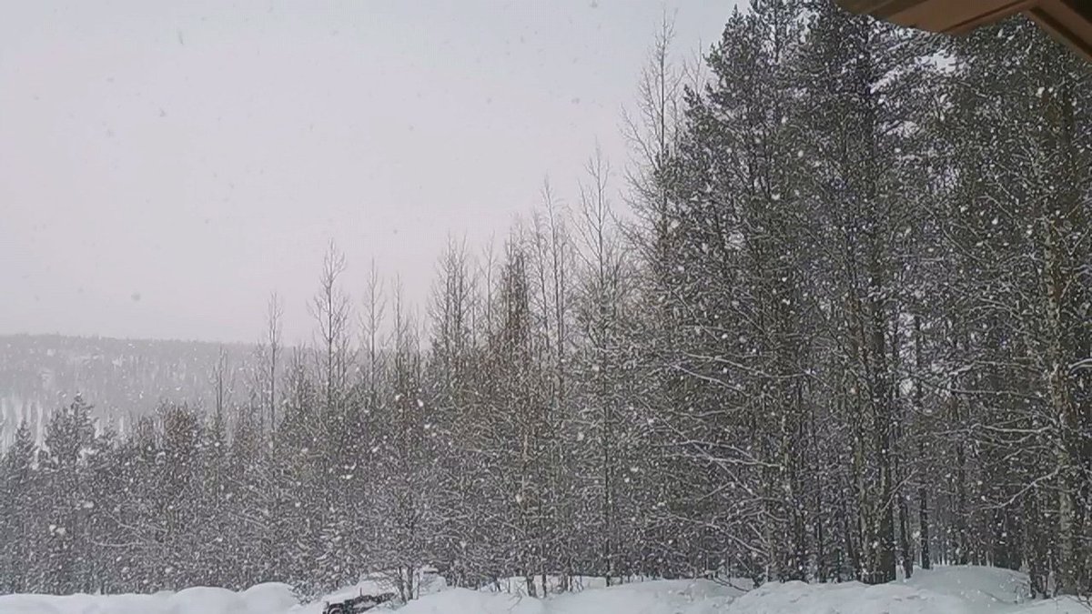 TeaMaria48's tweet photo. #nature #lapland #winter #snowrain #valokuvaus #huaweip30prophotography #visitlapland #suomi #Finland https://t.co/eJxrUESvFQ