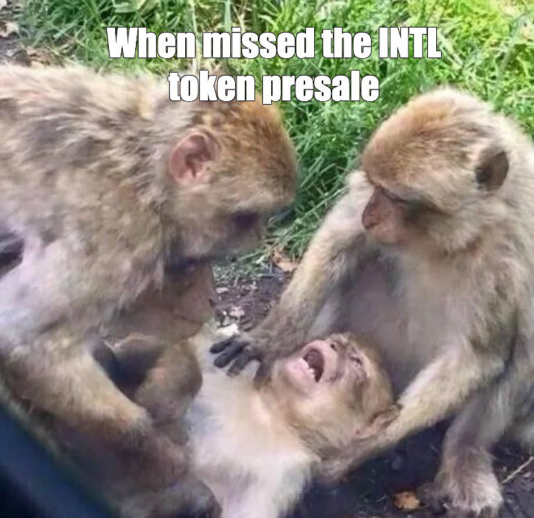 Intellectica Systems tweet media