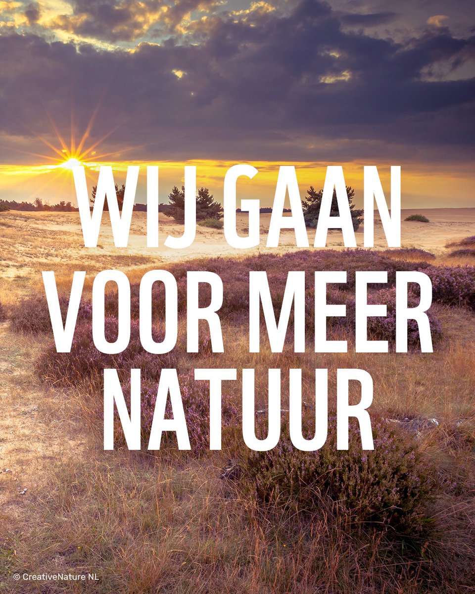 Het gaat slecht met de Nederlandse natuur, maar er zijn lichtpuntjes. We verliezen natuur en dieren en moeten méér doen, dat blijkt uit het #LivingPlanetReport. Het rapport laat ook zien dat 't goed gaat met bepaalde soorten als we ons er voor inzetten. Help je mee?
#MeerNatuur