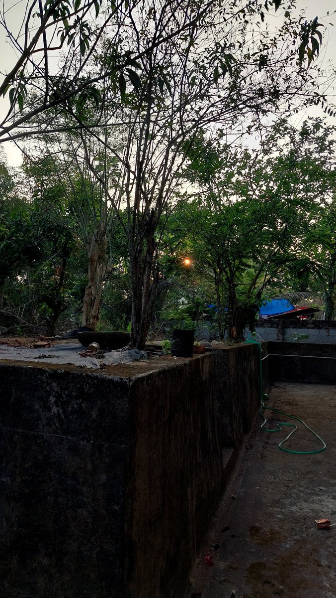 NikhaSab's tweet photo. ....Her heart was not red,not pale pink,not white,not completely black,
But Green💚,Insanely green💚🤌....
  #herheart #Green #Nature #Herlife #Selfclicks #Colors https://t.co/PpPIDiq8yt