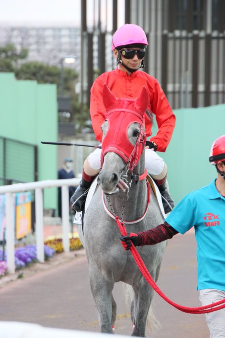 ここで惜しかったのが3枠じゃなかったということ。2023.3.29#大井競馬場 6R#ユリシーズ #山崎誠士騎手 