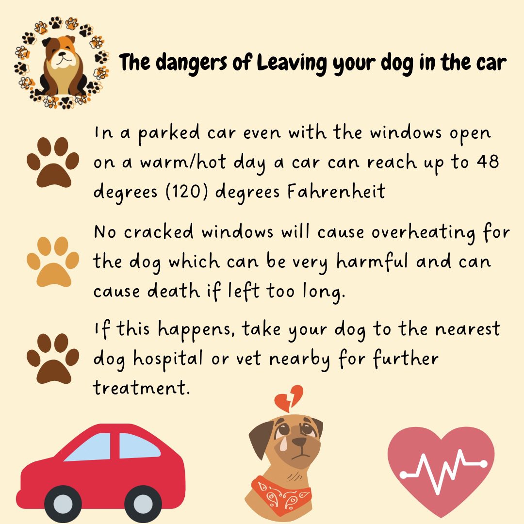 Friendsfurver22's tweet photo. 🐶Dangers of Leaving your dog in the car🐶 #summertime #AdoptDontShop #dogawarness #loveyourdog #protectdontneglect #caution #beaware #symptoms #overheating #vets #doglove https://t.co/WSzk9T2GYK