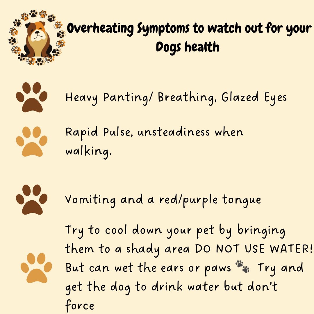 Friendsfurver22's tweet photo. 🐶Dangers of Leaving your dog in the car🐶 #summertime #AdoptDontShop #dogawarness #loveyourdog #protectdontneglect #caution #beaware #symptoms #overheating #vets #doglove https://t.co/WSzk9T2GYK