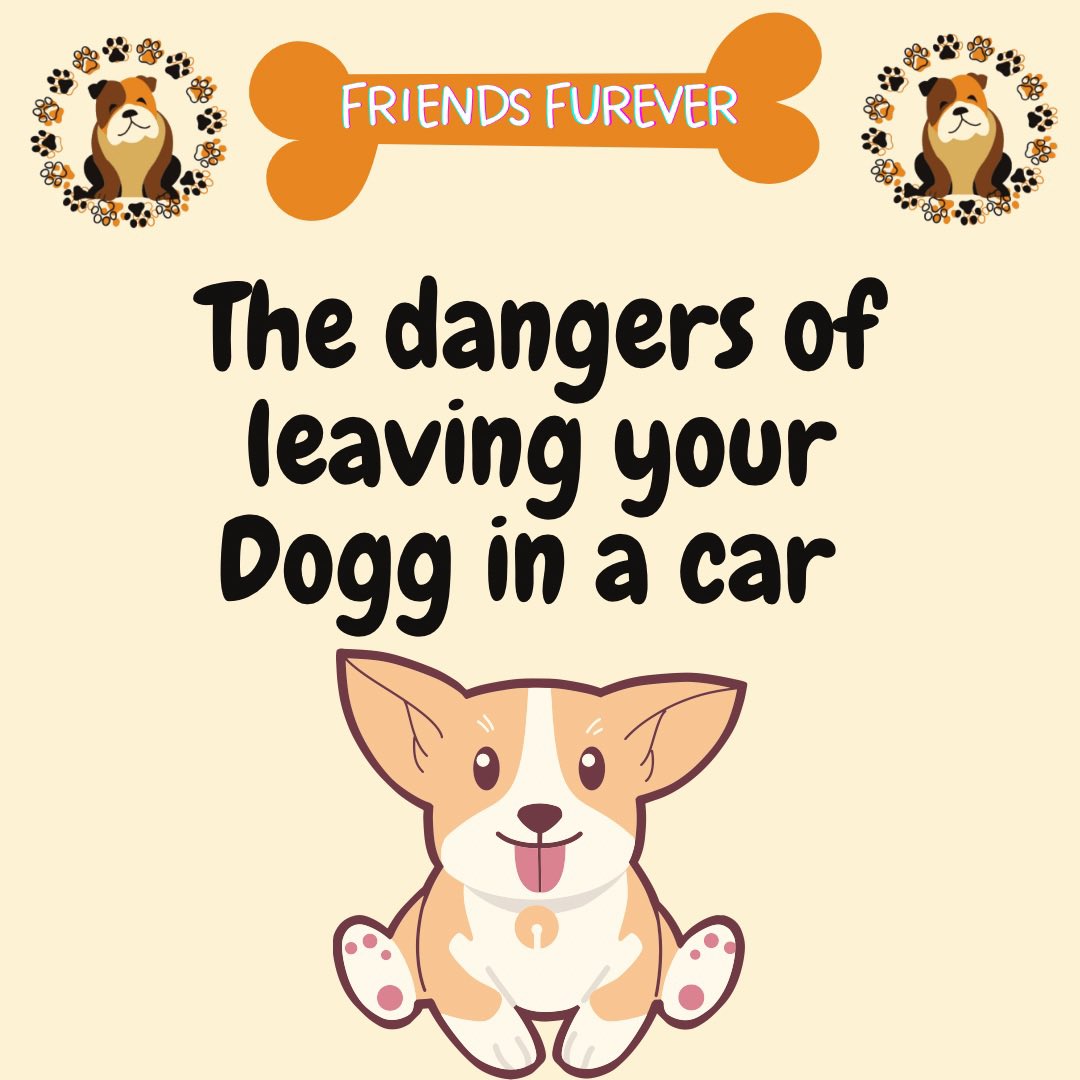 Friendsfurver22's tweet photo. 🐶Dangers of Leaving your dog in the car🐶 #summertime #AdoptDontShop #dogawarness #loveyourdog #protectdontneglect #caution #beaware #symptoms #overheating #vets #doglove https://t.co/WSzk9T2GYK