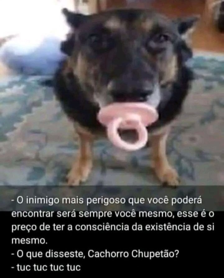 memes extremamente horríveis (ou bons) tweet media