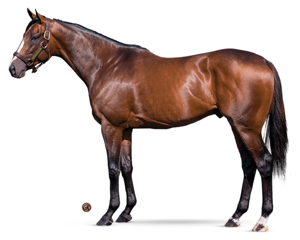 Kathie Roller-Stell tweet media