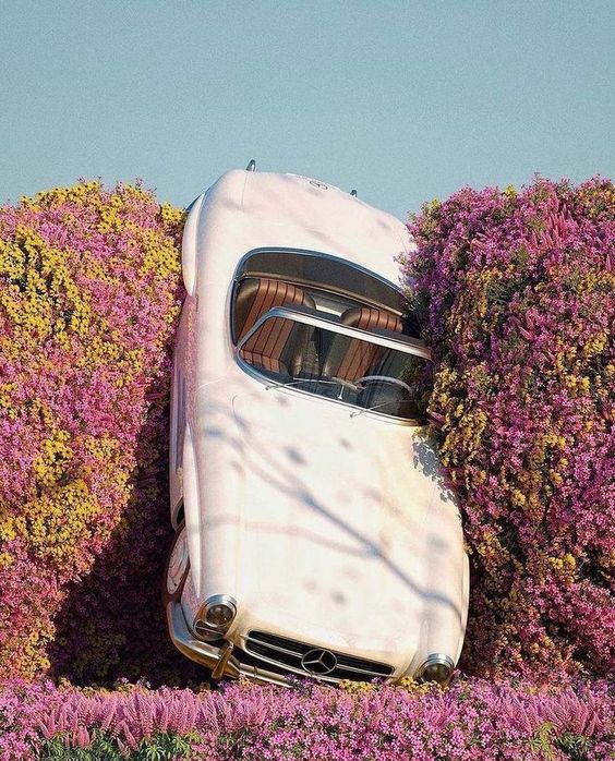 poetical photos. (@poeticalphotos) on Twitter photo 