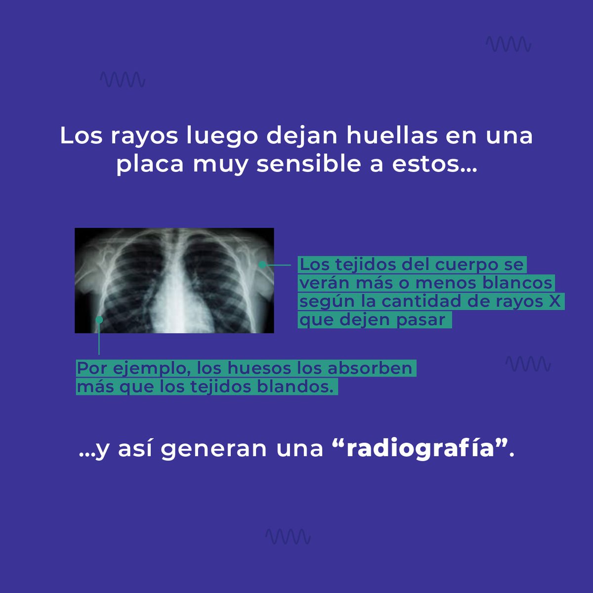 iHEALTHMilenio's tweet photo. Con esta publicación inauguramos nuestra sección “Doble click”, en la que entraremos en detalle en distintas tecnologías, conceptos o incluso partes del cuerpo humano. Así esperamos transmitirles lo alucinante que puede ser la ciencia cuando nos adentramos en ella. 
¡Síguenos! https://t.co/3DkiqGaLL3
