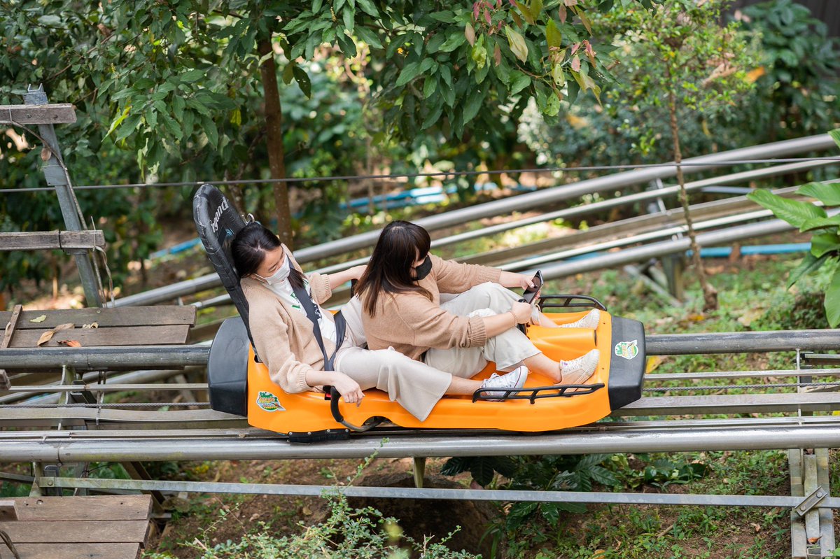 vanhotsprings's tweet photo. #ม่อนแจ่ม...เปิดเที่ยวตลอดปี
กับ #รถตู้ม่อนแจ่ม คนละ150บาท🚎

รับจากเชียงใหม่ ถึงส่ง 
#ที่พักหรือจุดเที่ยว 

จองด่วน #ก่อนที่นั่งเต็ม #ดอยอินทนนท์ #monjam #ม่อนแจ่ม #maekampong #แม่กำปอง #รีวิวเชียงใหม่ #reviewchiangmai #travel #เชียงใหม่ #chiangmai
 - #매캄퐁 #몬잼 #도인타논 https://t.co/QGcJ9SZRgE