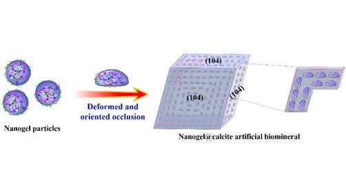 angew_chem's tweet photo. Controlled Deformation of Soft Nanogel Particles Generates Artificial Biominerals with Ordered Internal Structure (Yin Ning and co-workers) @YinNing7 @ArmesGroup https://t.co/tbO5OxsGqT https://t.co/P7elIaMR6I