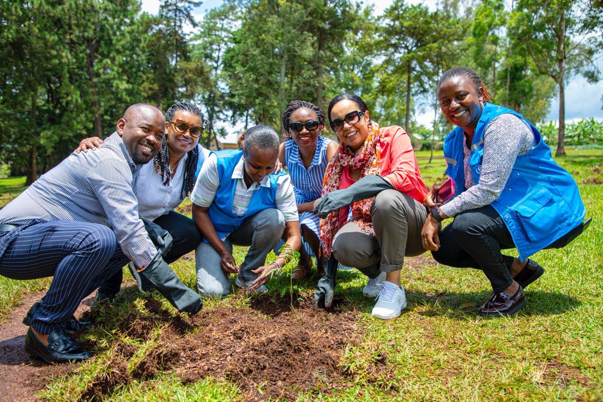 UNRwanda's tweet photo. One of the easiest and most effective social responses to addresses climate change and protect our planet is to plant trees. Let us all do our part today. #ActionAgainstClimateChange https://t.co/lBYsCvEneS