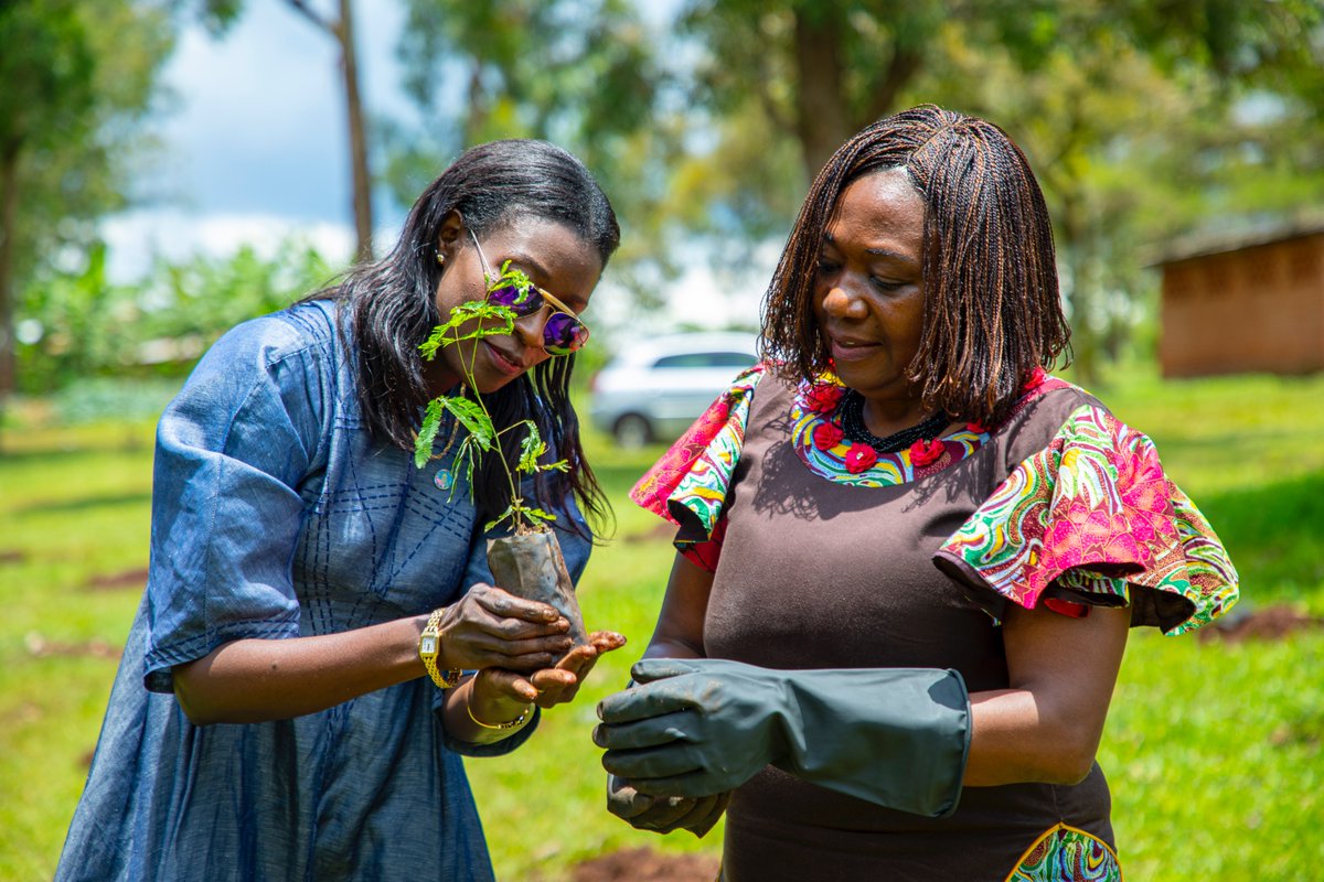 UNRwanda's tweet photo. One of the easiest and most effective social responses to addresses climate change and protect our planet is to plant trees. Let us all do our part today. #ActionAgainstClimateChange https://t.co/lBYsCvEneS