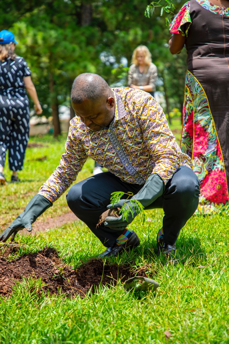 UNRwanda's tweet photo. One of the easiest and most effective social responses to addresses climate change and protect our planet is to plant trees. Let us all do our part today. #ActionAgainstClimateChange https://t.co/lBYsCvEneS