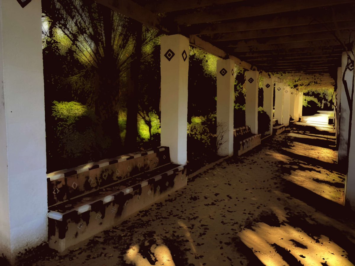 Bonaire Productions tweet media