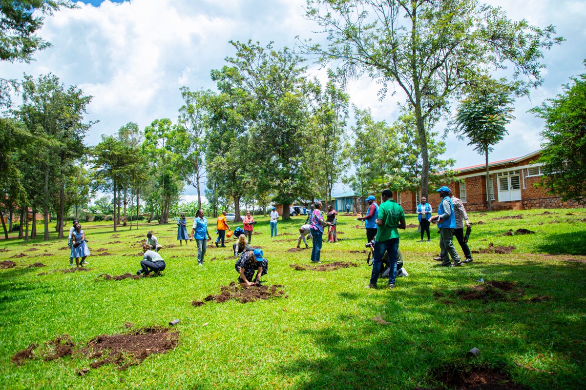 UNRwanda's tweet photo. One of the easiest and most effective social responses to addresses climate change and protect our planet is to plant trees. Let us all do our part today. #ActionAgainstClimateChange https://t.co/lBYsCvEneS