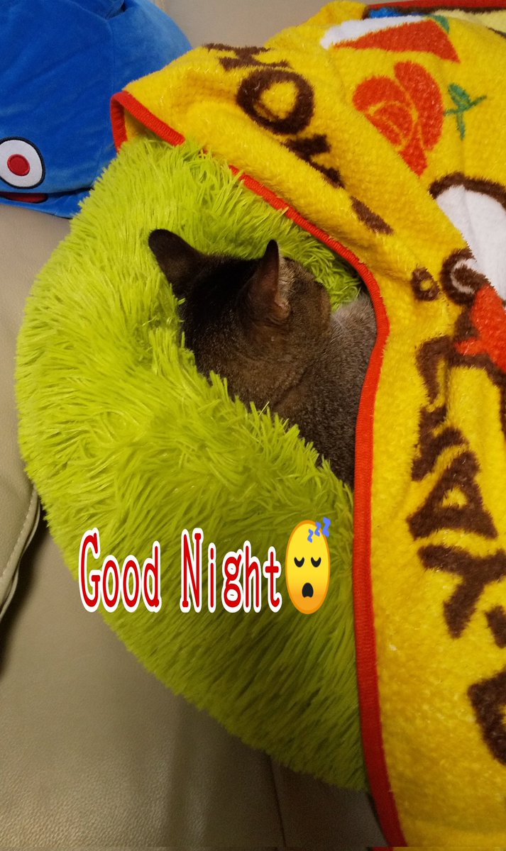 Thank you for watching😊
and your reactions.
ご視聴 いいね リツイート
感謝致します😊
おやすみなさい😴