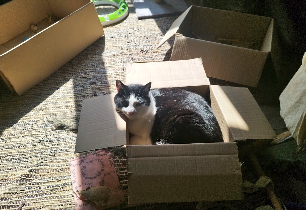 tiny_cat1's tweet image. Ici les #barricades se renforcent et la #ZADcarton s'agrandit. On lache rien et vive le #blocage
Soutient à tout les gens en luttes ne lâchons rien.
Si vous le pouvez n'hésitez pas à soutenir les caisses de grèves par ex caisse-solidarite.fr mais y en plein d'autres.